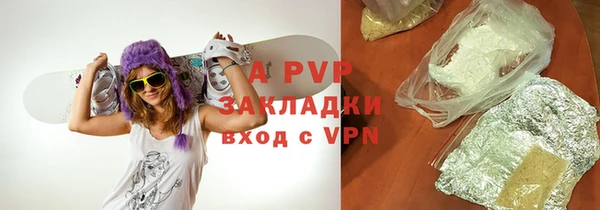 трава Белокуриха