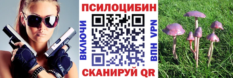 Псилоцибиновые грибы прущие грибы  цены наркотик  Нарьян-Мар 